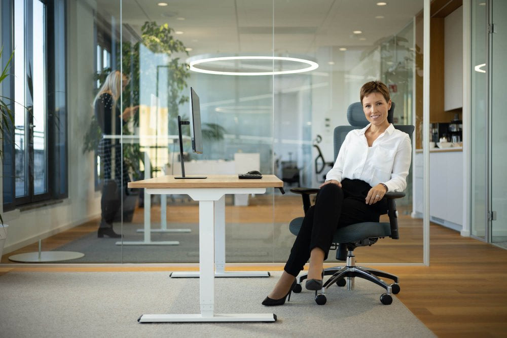 Ergonomska uredska stolica Ergovision Smart Basic