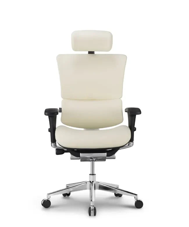 Ergonomska uredska stolica Ergovision Smart Deluxe