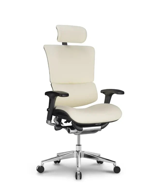 Ergonomska uredska stolica Ergovision Smart Deluxe