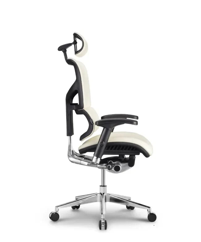 Ergonomska uredska stolica Ergovision Smart Deluxe