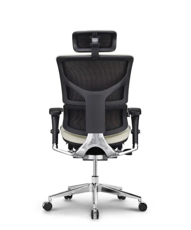 Ergonomska uredska stolica Ergovision Smart Deluxe