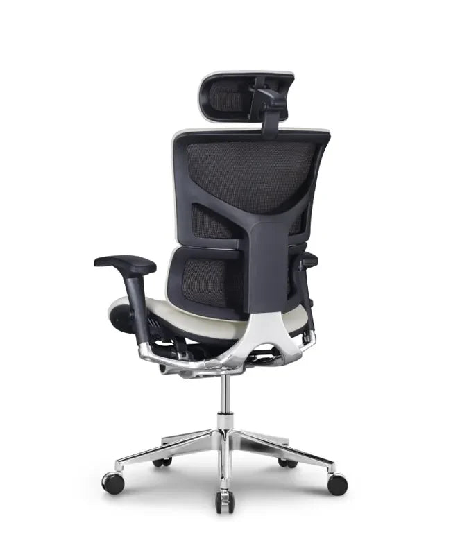 Ergonomska uredska stolica Ergovision Smart Deluxe