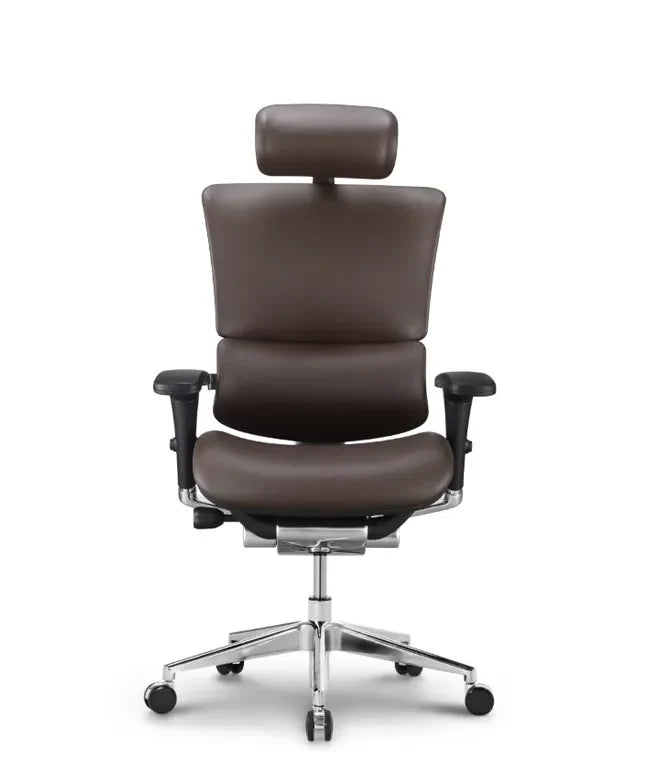 Ergonomska uredska stolica Ergovision Smart Deluxe