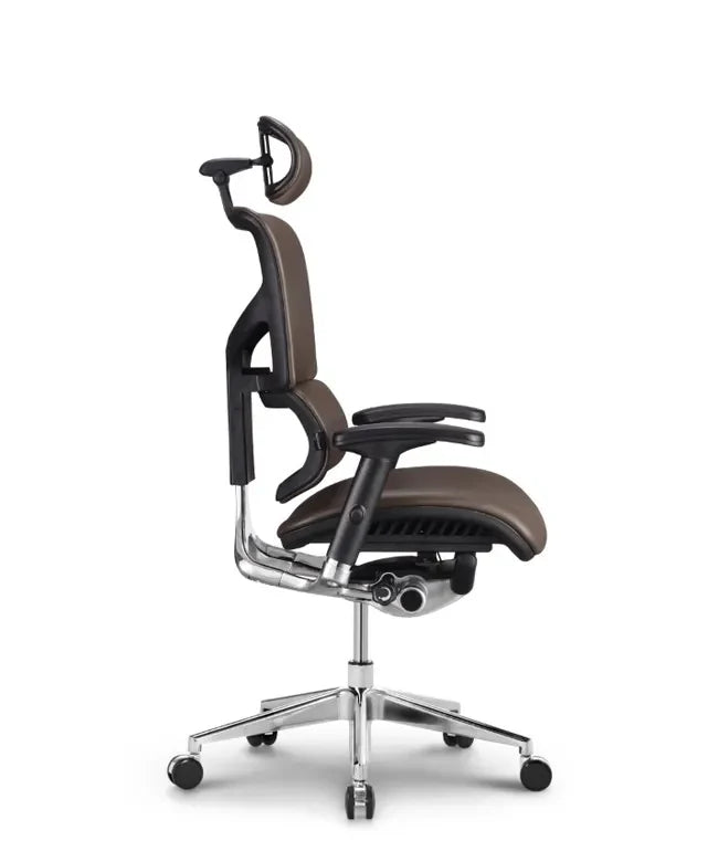 Ergonomska uredska stolica Ergovision Smart Deluxe