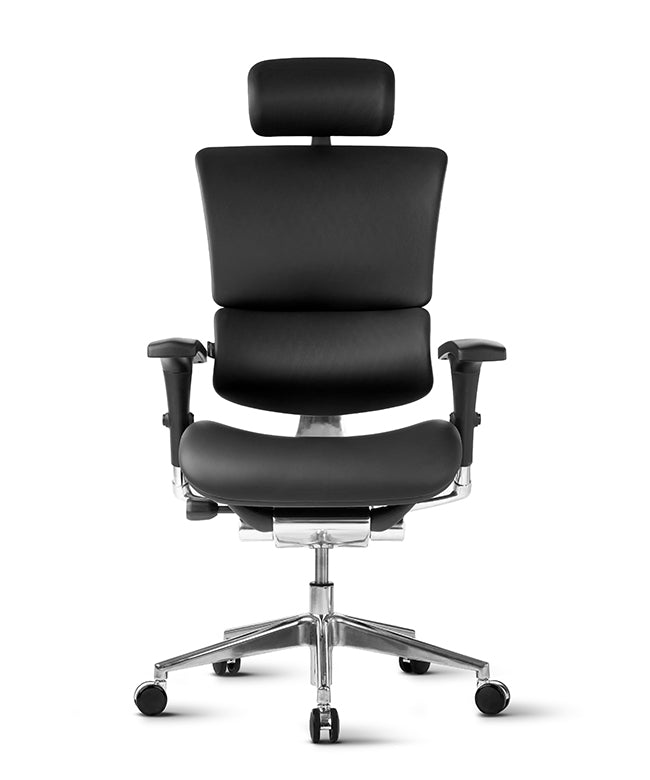Ergonomska uredska stolica Ergovision Smart Deluxe