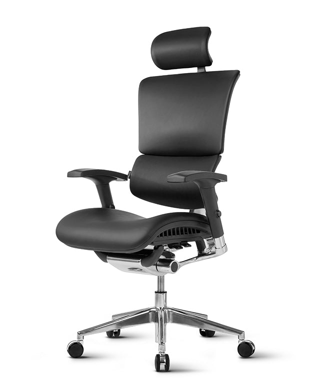 Ergonomska uredska stolica Ergovision Smart Deluxe
