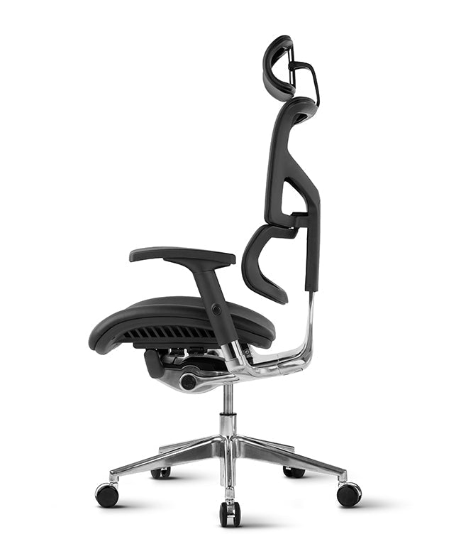 Ergonomska uredska stolica Ergovision Smart Deluxe