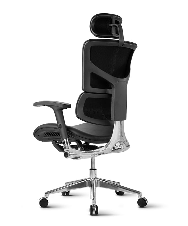 Ergonomska uredska stolica Ergovision Smart Deluxe