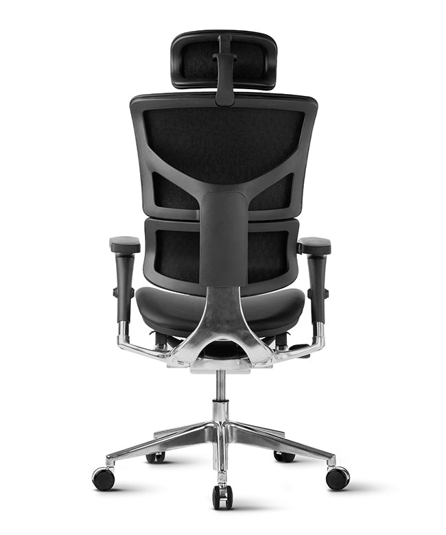 Ergonomska uredska stolica Ergovision Smart Deluxe