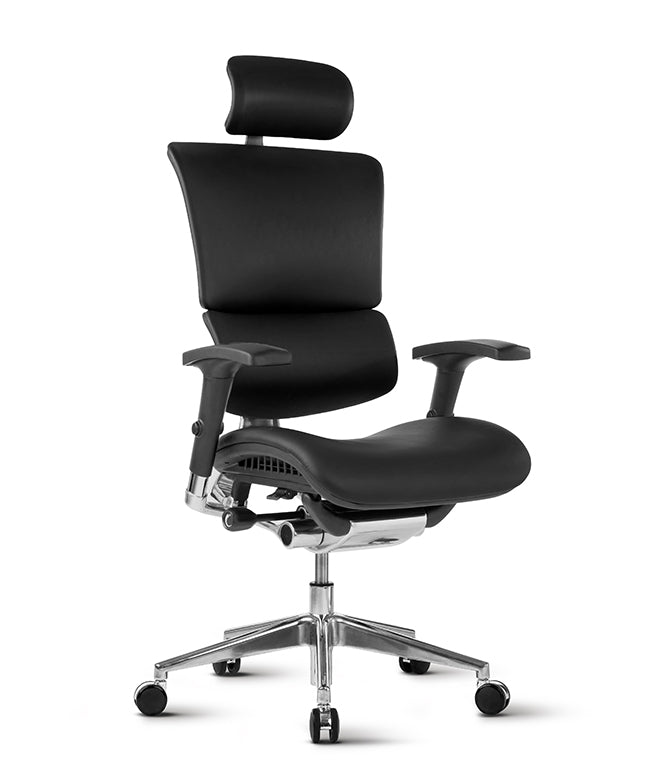 Ergonomska uredska stolica Ergovision Smart Deluxe