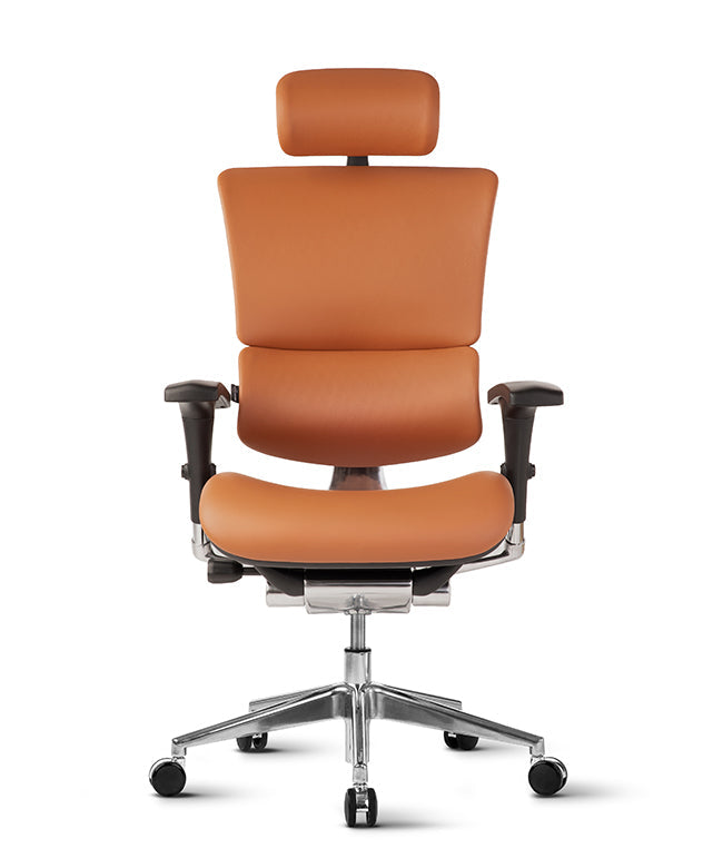 Ergonomska uredska stolica Ergovision Smart Deluxe