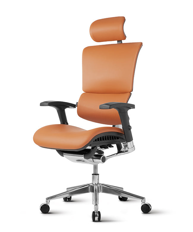 Ergonomska uredska stolica Ergovision Smart Deluxe