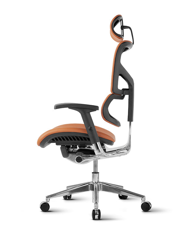 Ergonomska uredska stolica Ergovision Smart Deluxe