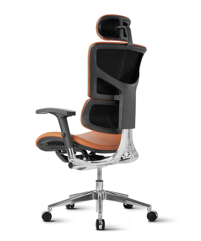 Ergonomska uredska stolica Ergovision Smart Deluxe