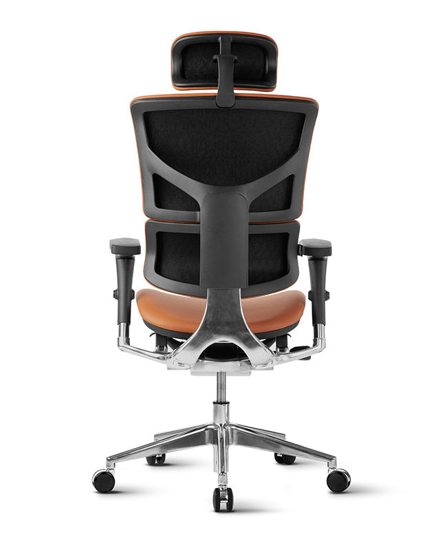 Ergonomska uredska stolica Ergovision Smart Deluxe