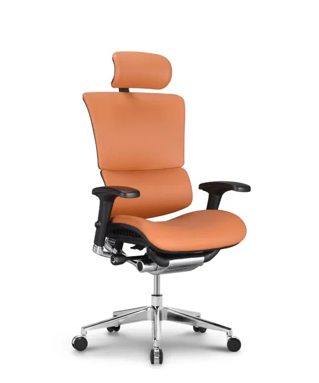 Ergonomska uredska stolica Ergovision Smart Deluxe