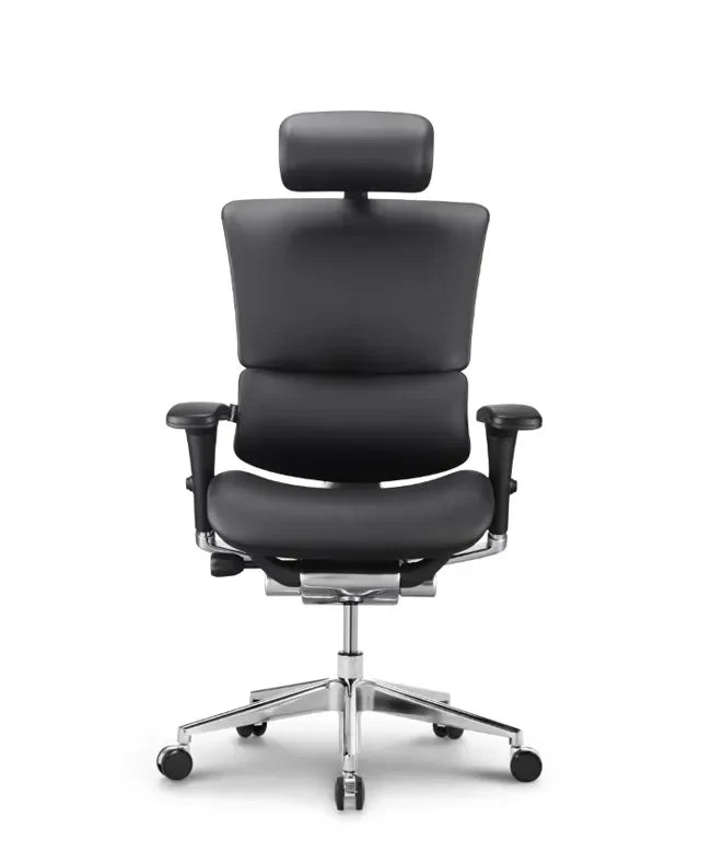 Ergonomska uredska stolica Ergovision Smart Deluxe