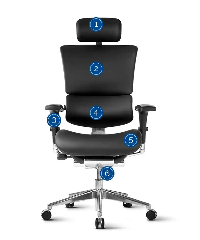 Ergonomska uredska stolica Ergovision Smart Deluxe
