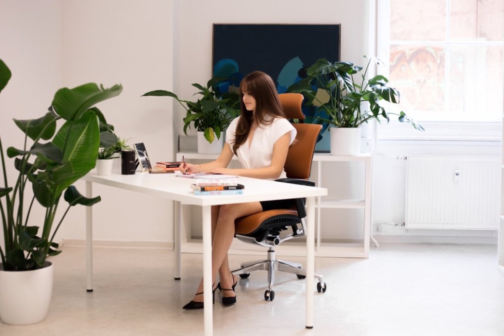 Ergonomska uredska stolica Ergovision Smart Deluxe