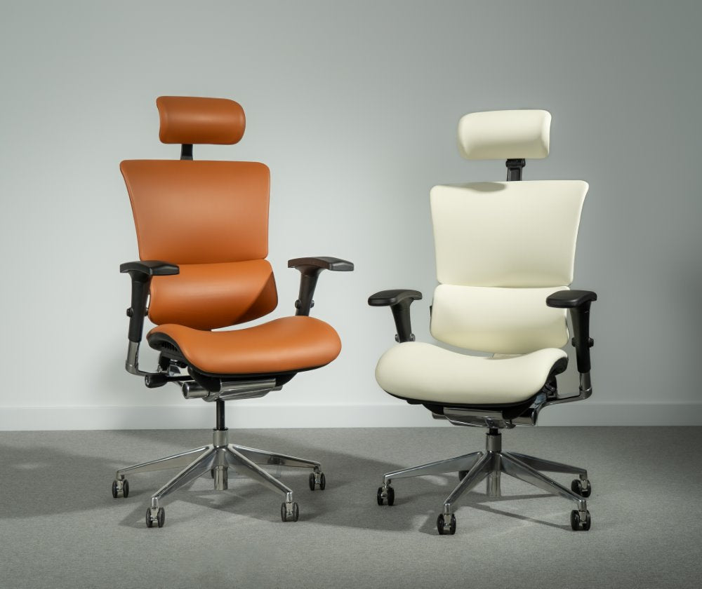 Ergonomska uredska stolica Ergovision Smart Deluxe