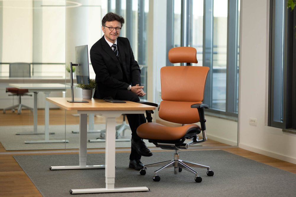 Ergonomska uredska stolica Ergovision Smart Deluxe