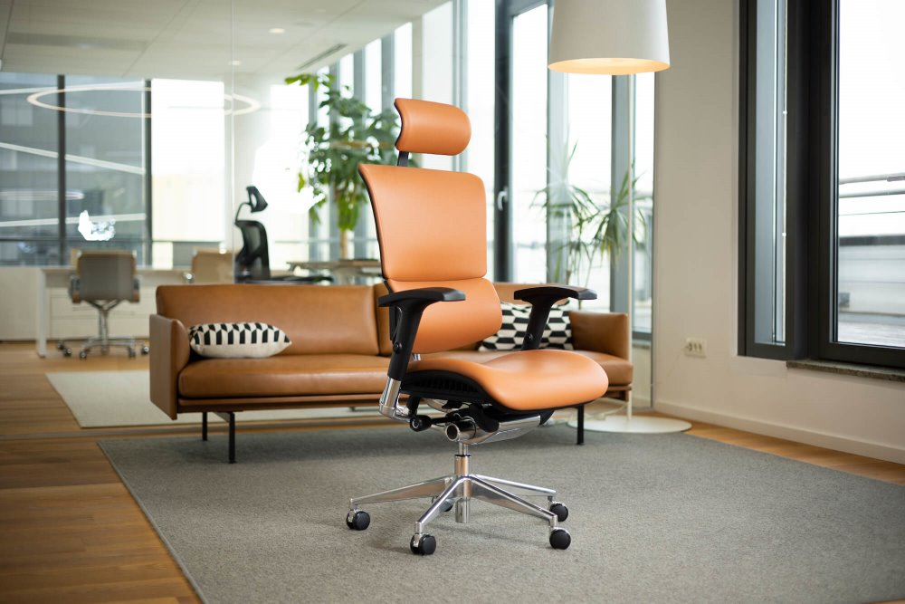 Ergonomska uredska stolica Ergovision Smart Deluxe