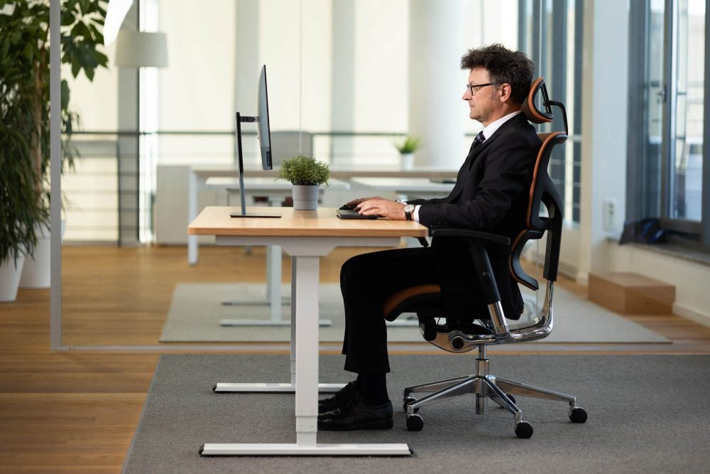 Ergonomska uredska stolica Ergovision Smart Deluxe