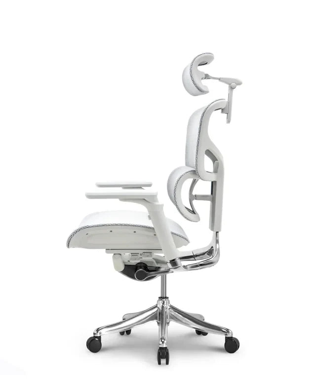 Ergonomska uredska stolica Ergovision Smart Plus PRO