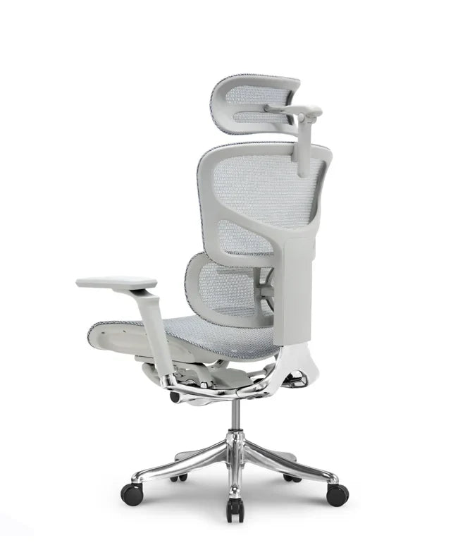 Ergonomska uredska stolica Ergovision Smart Plus PRO