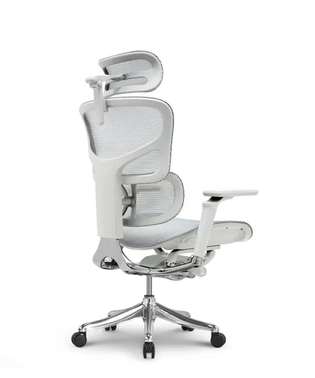 Ergonomska uredska stolica Ergovision Smart Plus PRO