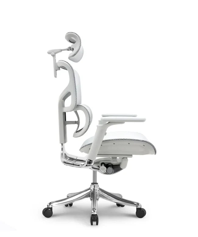 Ergonomska uredska stolica Ergovision Smart Plus PRO