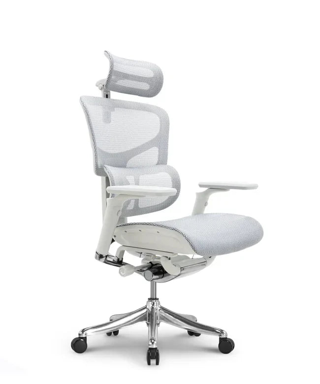 Ergonomska uredska stolica Ergovision Smart Plus PRO
