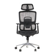 Proizvod je ergonomska uredska stolica, točnije model Ergonew A1. Stolica se odlikuje elegantnim dizajnom s mrežastim naslonom za leđa i sjedalom za prozračnost, podesivim naslonima za ruke i naslonom za glavu koji pruža potporu. Postavljena je na kromiranu bazu s kotačićima za mobilnost.