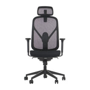Proizvod je ergonomska uredska stolica, točnije model Larck. Stolica ima mrežasti naslon za leđa za prozračnost, podstavljeno sjedalo za udobnost i podesive naslone za ruke. Njezin dizajn uključuje naslon za glavu i bazu s pet zvjezdica s kotačićima za mobilnost.