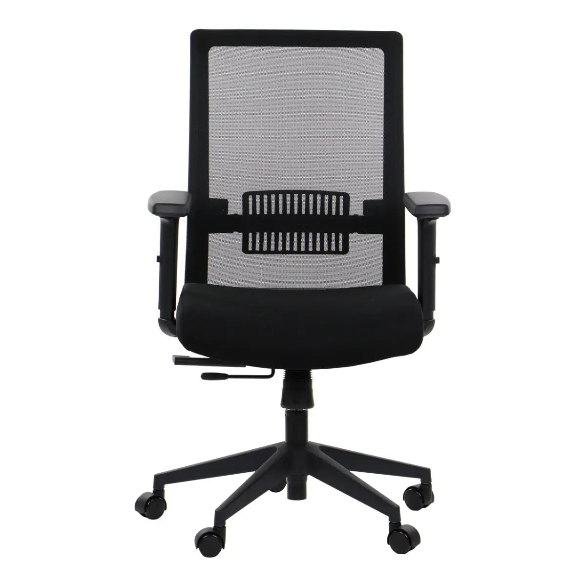 Proizvod je ergonomska uredska stolica, točnije model Riverton. Stolica ima crni mrežasti naslon za leđa za prozračnost, podstavljeno sjedalo za udobnost i podesive naslone za ruke. Dizajnirana je za optimalnu potporu tijekom dugih sati sjedenja.